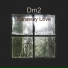 Dm2