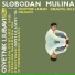 Slobodan Mulina