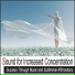Robbins Island Music Artists