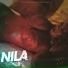 Nila