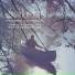 Dan Gibson's Solitudes