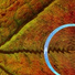 Alloyed Element, Chakra Channels