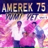 AMEREK 75