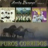 Montez De Durango