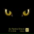 DJ Pasha Shock