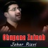 Johar Rizvi