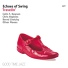 Echoes of Swing