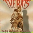 Rats