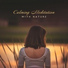 Hypnotic Therapy Music Consort