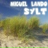 Miguel Lando