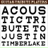 Guitar Tribute Players