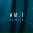 AM.I