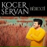 Koçer Şervan