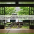 Relaxing Piano Crew, Masami Sato