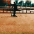 Leekev