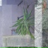 RGL