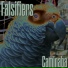 Falsifiers