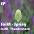SaifA