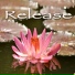 Chakra Dreamers