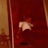 Don Michael Jr