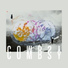 COMBSY