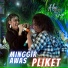 Alvi Ananta feat. Wawan