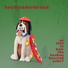 boywonderbread