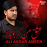 Ali Akbar Ameen