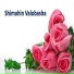 Rajib