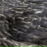 Árstíðir (2009, "Árstíðir")