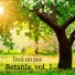 Betania