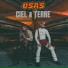 Osas