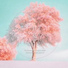 고희든 (Huideun Ko)