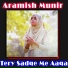 Aramish Munir