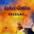 Luigi Gallia