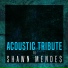 Guitar Tribute Players