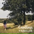 Cantina