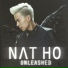 鶴天賜 Nat Ho
