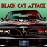 Black Cat Attack
