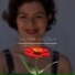 Talitha Accioly