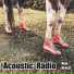 Acoustic Radio