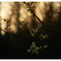 Relaxing Music, Spa, Spa Music Relaxation