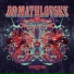 Dr Mathlovsky