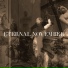 Eternal November