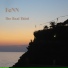 FeNN