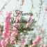 Flower Calm