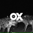 OX