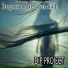 d.i.p project