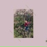 Eyolf Dale feat. Audun Kleive, Per Zanussi
