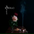 Bordello Roses